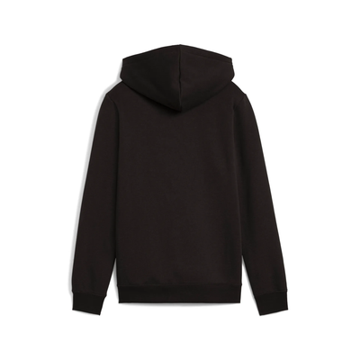 ESS LOGO LAB Hoodie FL B