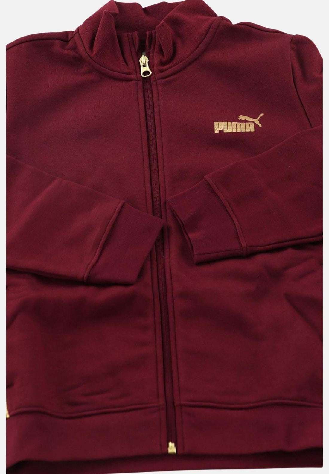 ESS+ TEXTURED FOIL LOGO FZ SUIT FL?