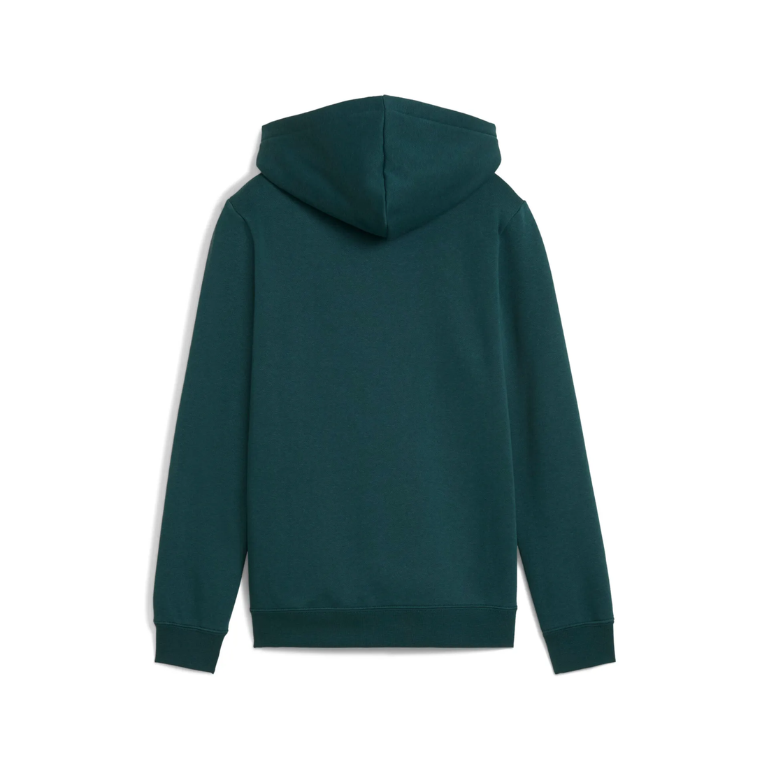ESS LOGO LAB Hoodie FL B