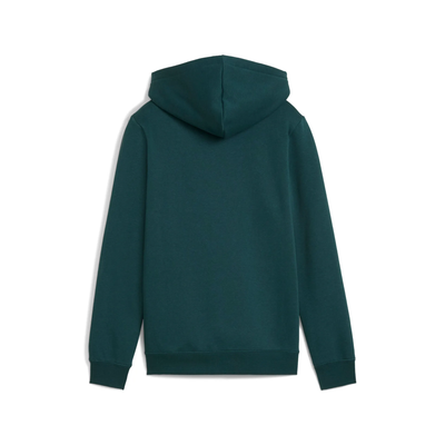 ESS LOGO LAB Hoodie FL B