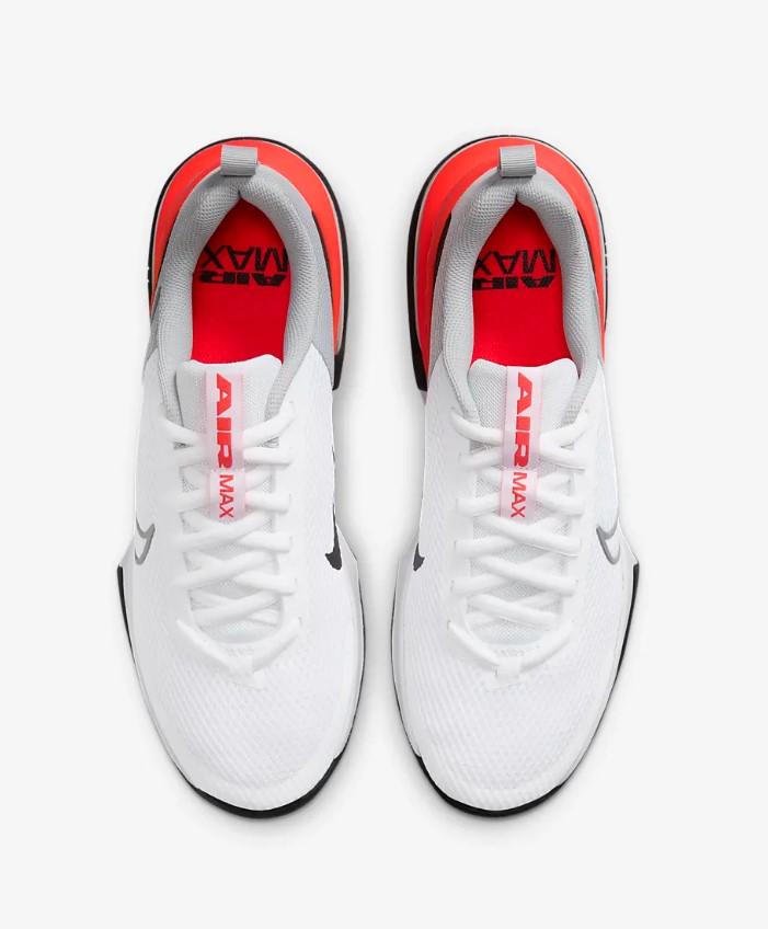 Alpha Trainer 6