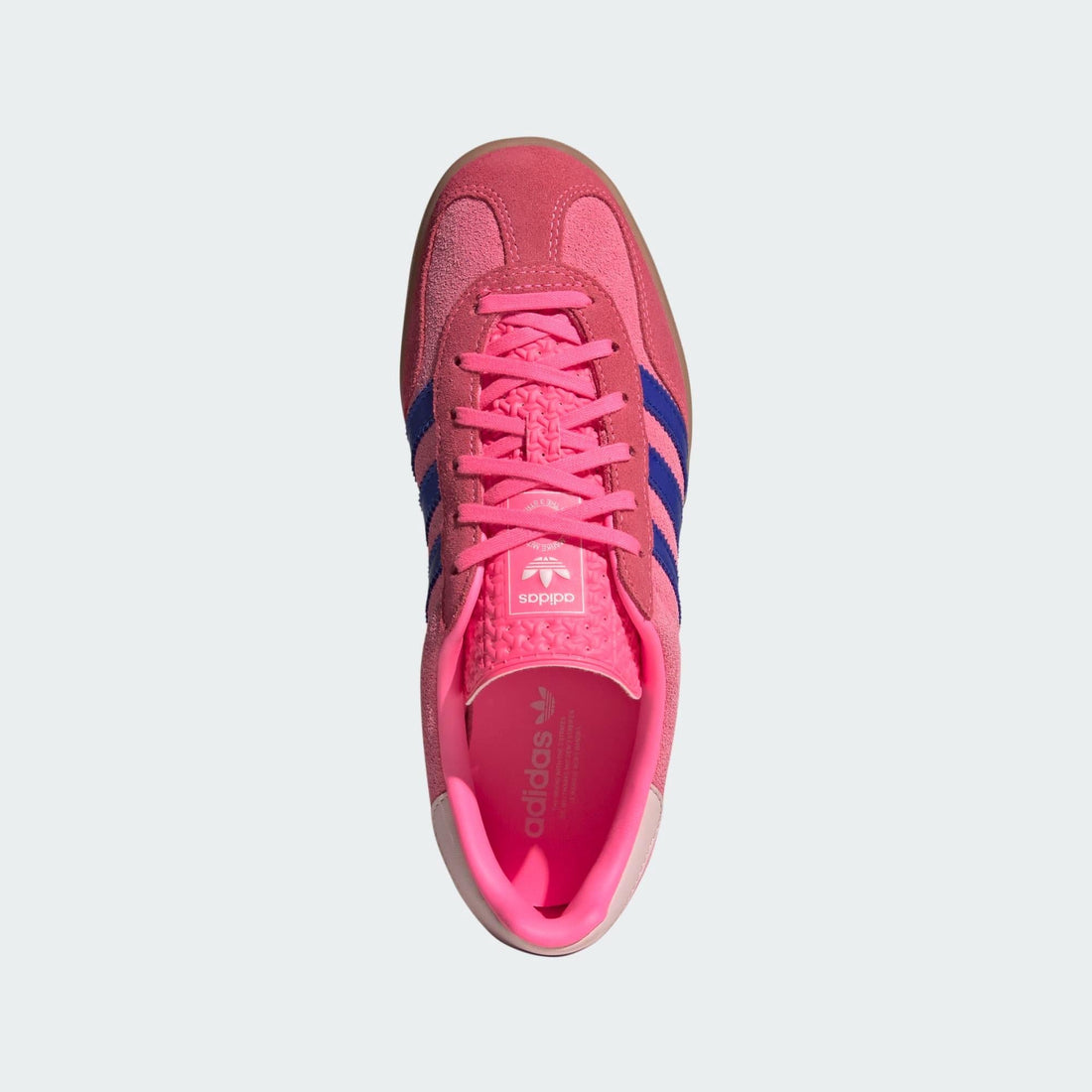 Gazelle Indorr