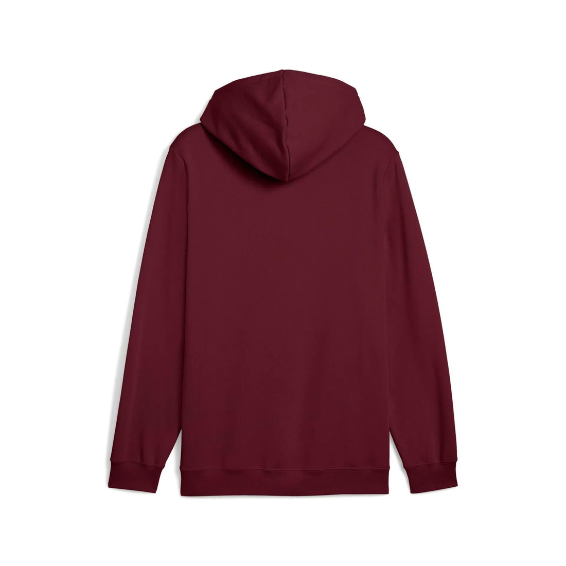 ESS 2 COLOR Logo Hoodie