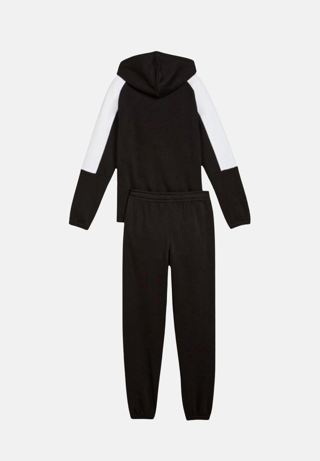 ESS BLOCK Hooded Full-Zip Sweat Suit FL B