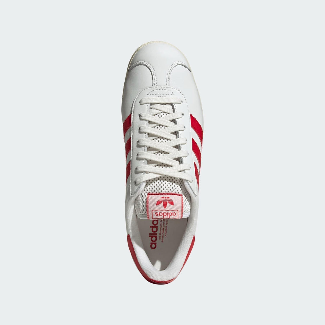 Gazelle