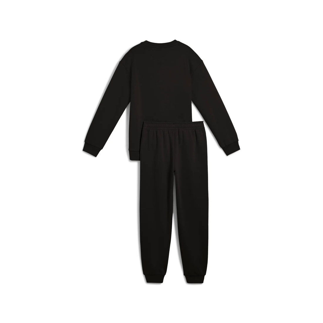 ESS ELEVATED Relaxed Crew Sweat Suit FL B