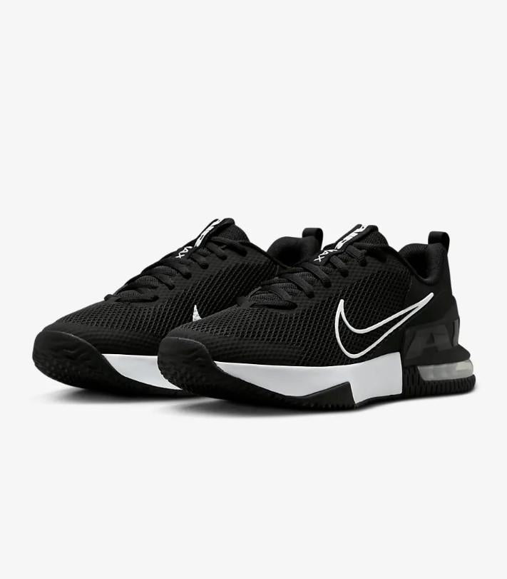 Alpha Trainer 6