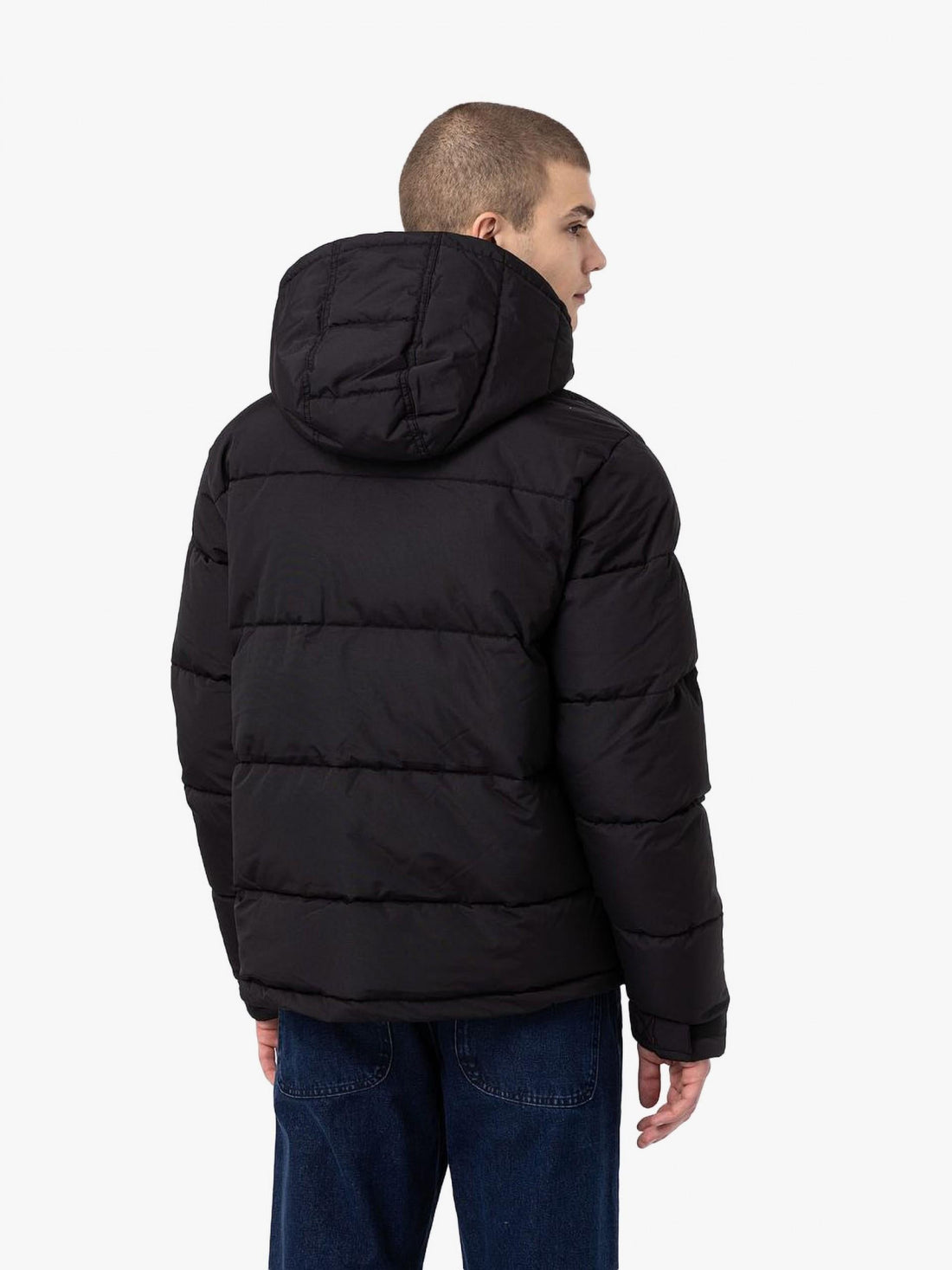 Glacier Puffer