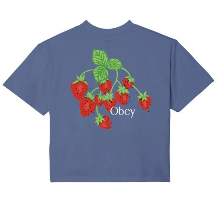 Strawberry bunch