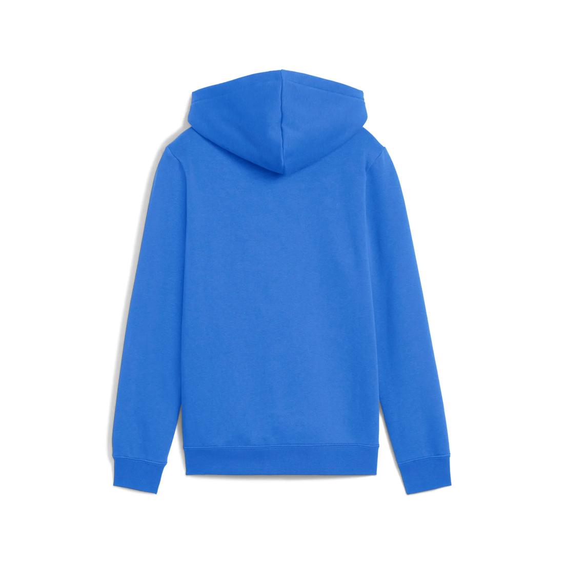 ESS LOGO LAB Hoodie FL B