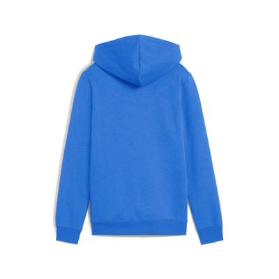 ESS LOGO LAB Hoodie FL B