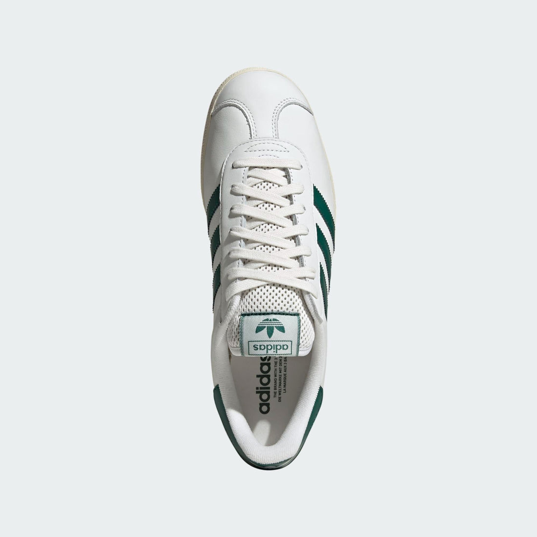 Gazelle