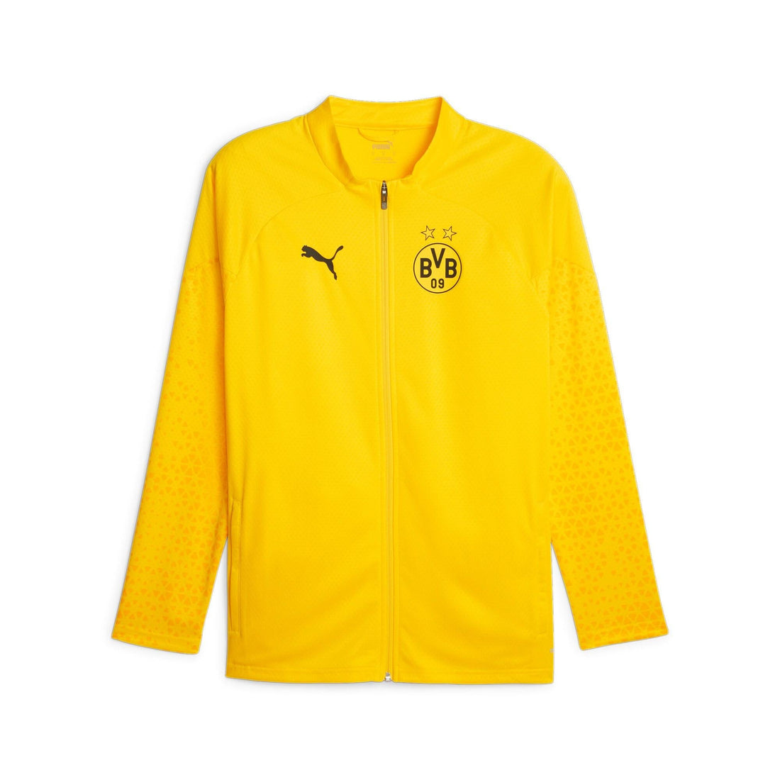 BVB Training Jacket