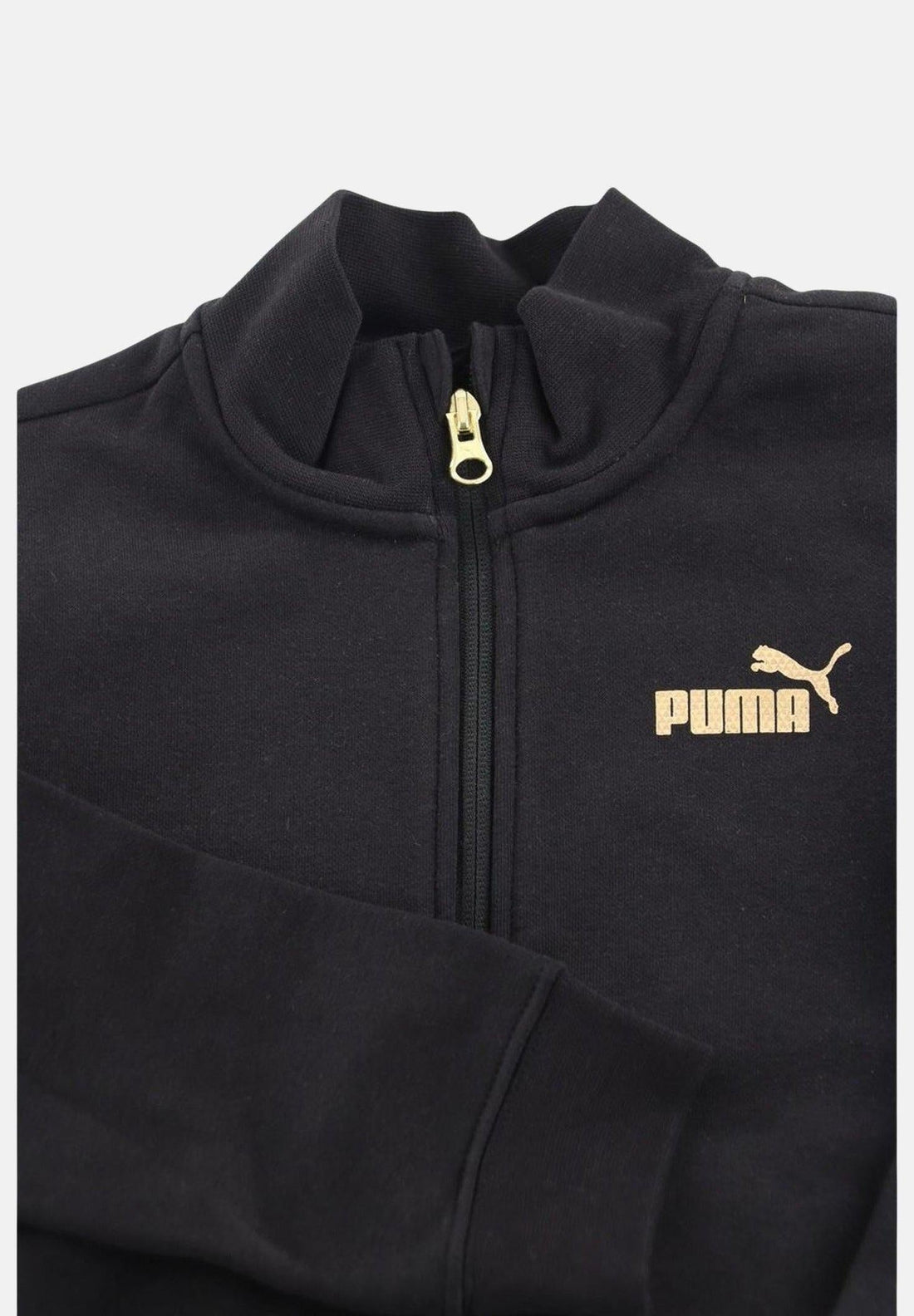 ESS+ TEXTURED FOIL LOGO FZ SUIT FL?
