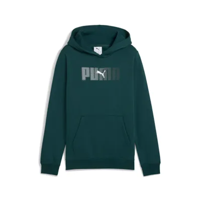 ESS LOGO LAB Hoodie FL B
