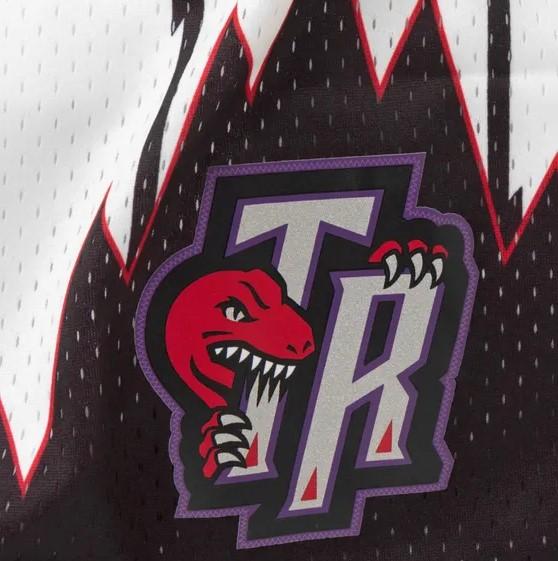 TORONTO RAPTORS