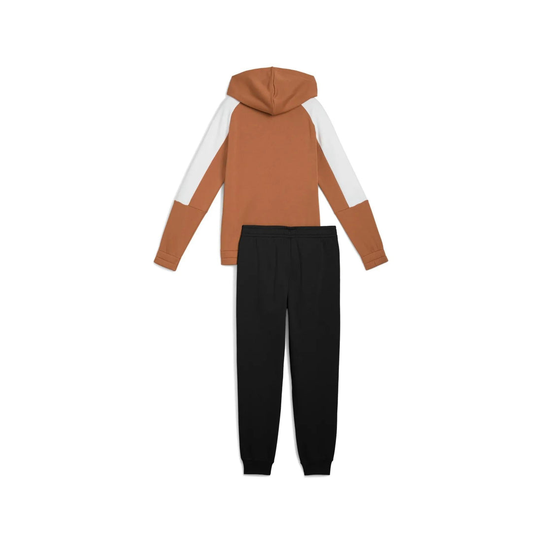 ESS BLOCK Hooded Full-Zip Sweat Suit FL B