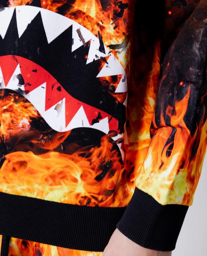 SHARK ON FIRE