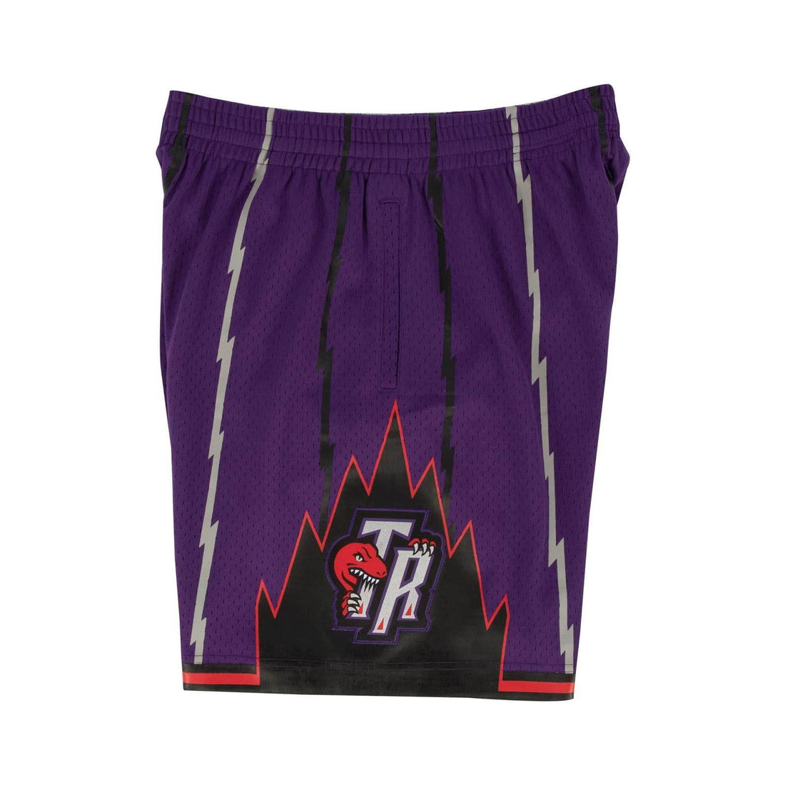 TORONTO RAPTORS