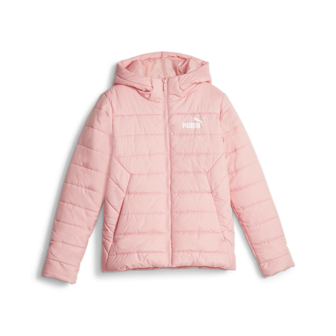 Hooded Padded