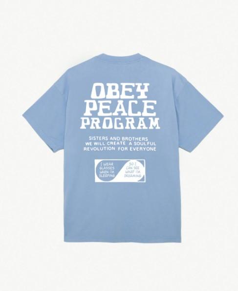Peace program